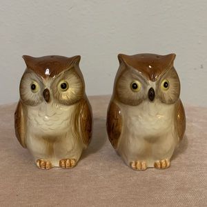 2 Piece Owl Salt and Pepper Shakers